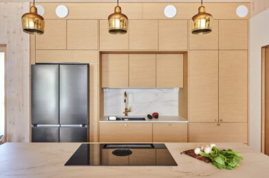 дерев’яні будинки Finnlog