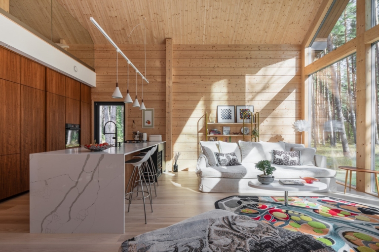 Природне світло та панорамні вікна: архітектура вражень